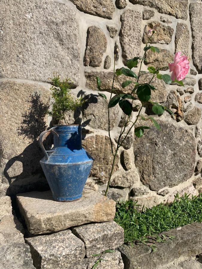 Casa Das Japoneiras باريديس دي كورا المظهر الخارجي الصورة